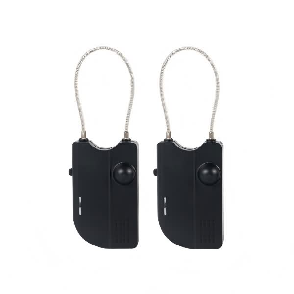 rf+am alarm tag